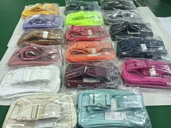 Everywhere belt bag 1.0